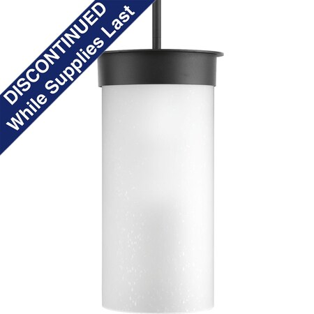 Progress Lighting Hawthorne Collection One-Light Large Hanging Lantern P5523-31